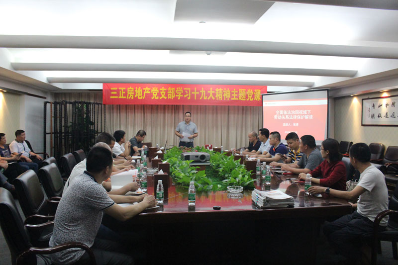 2018年5月20日，三正房地產(chǎn)黨支部學習十九大主題黨課.jpg